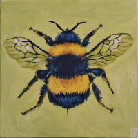 art6